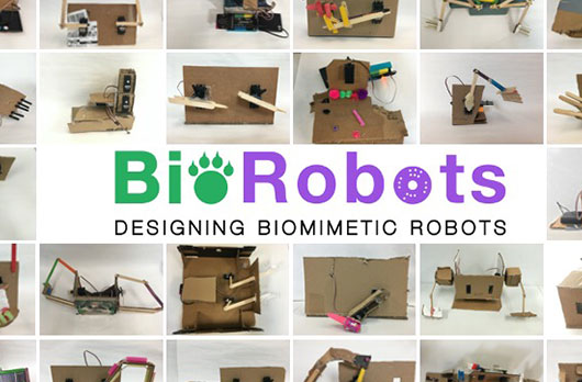 BioRobots