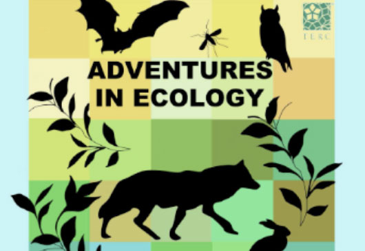 Adventures in Ecology
